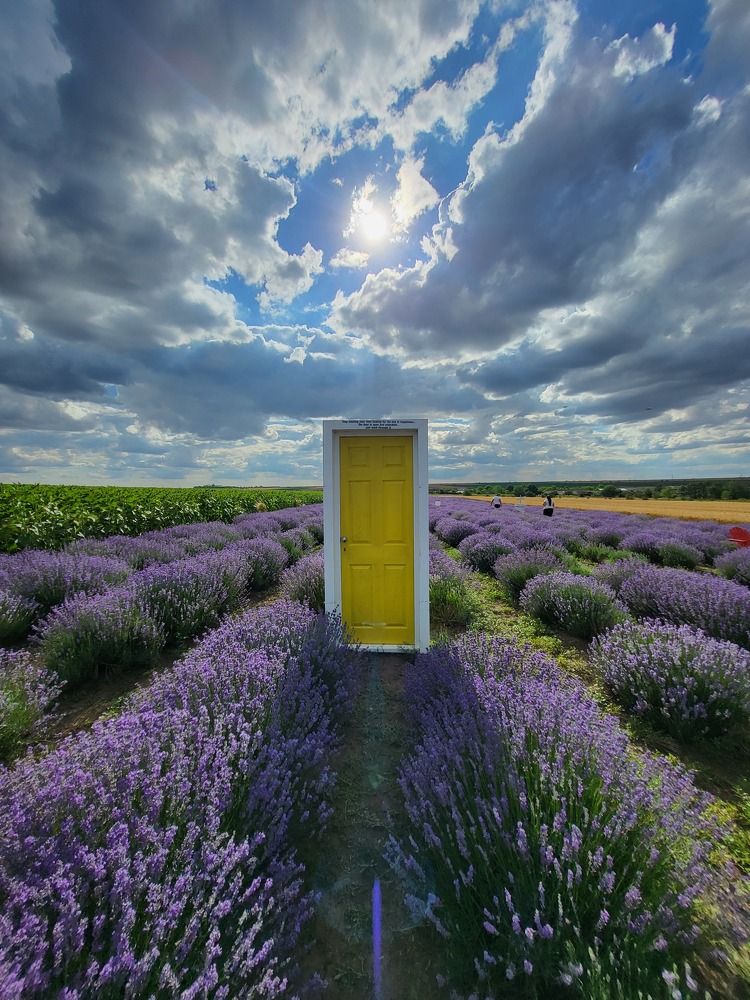 Фотография автора MIRELA ATANASOAIE