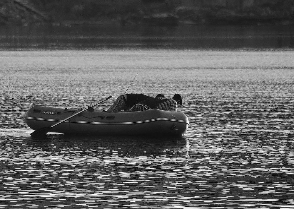 Photograph by Светлана Дисяк