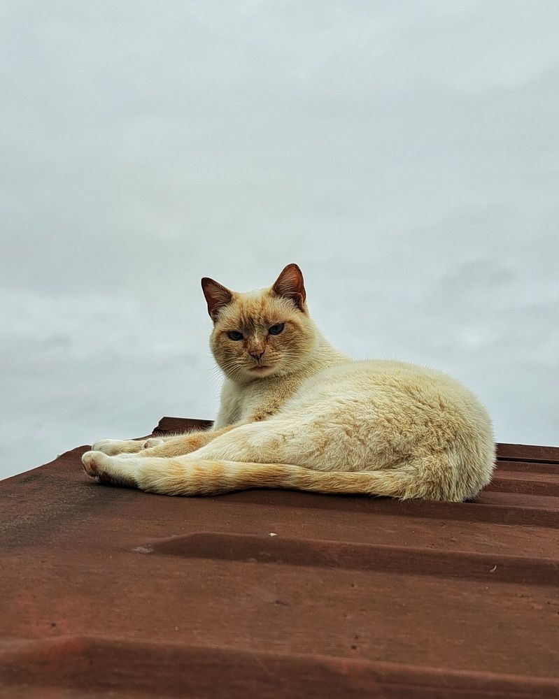 Photograph by Оксана Юдина