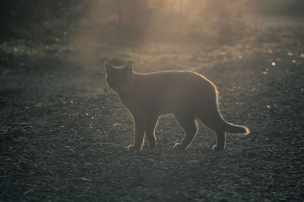 Photograph by Наталья Островцева