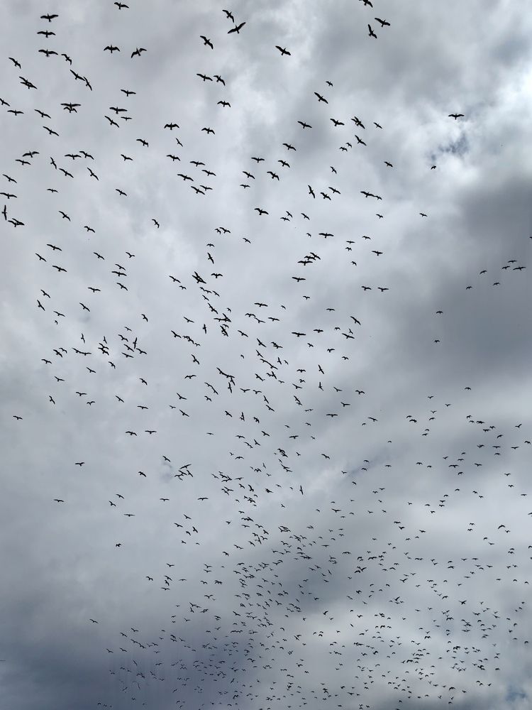 Photograph by Наталья Жуковская