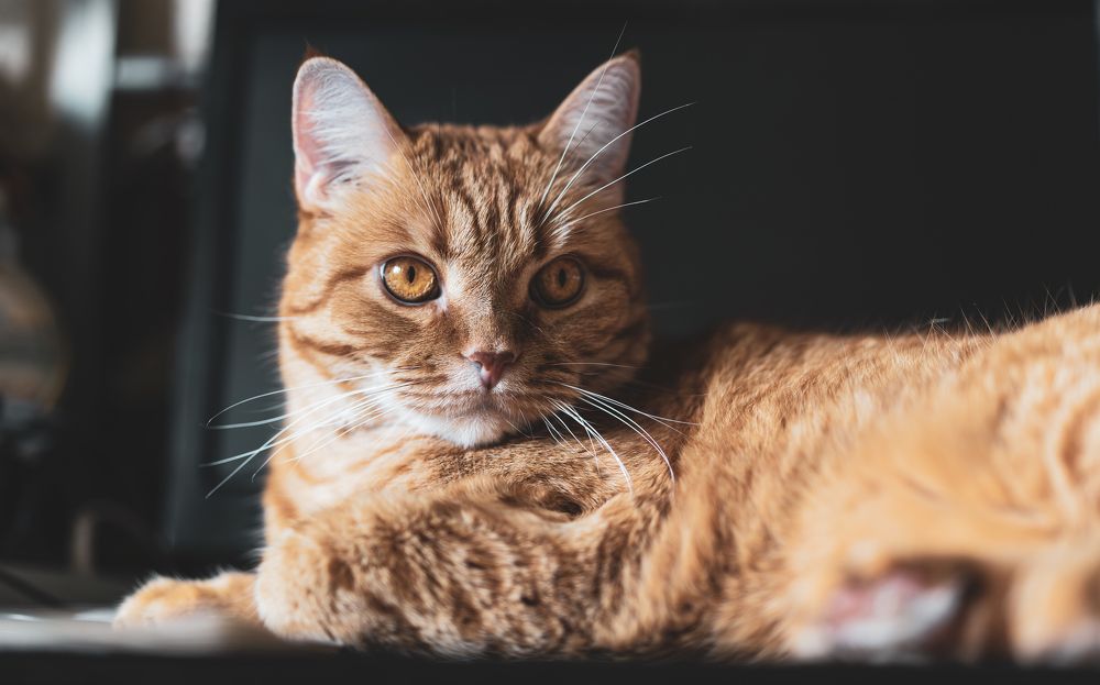 Photograph by Мария Паина