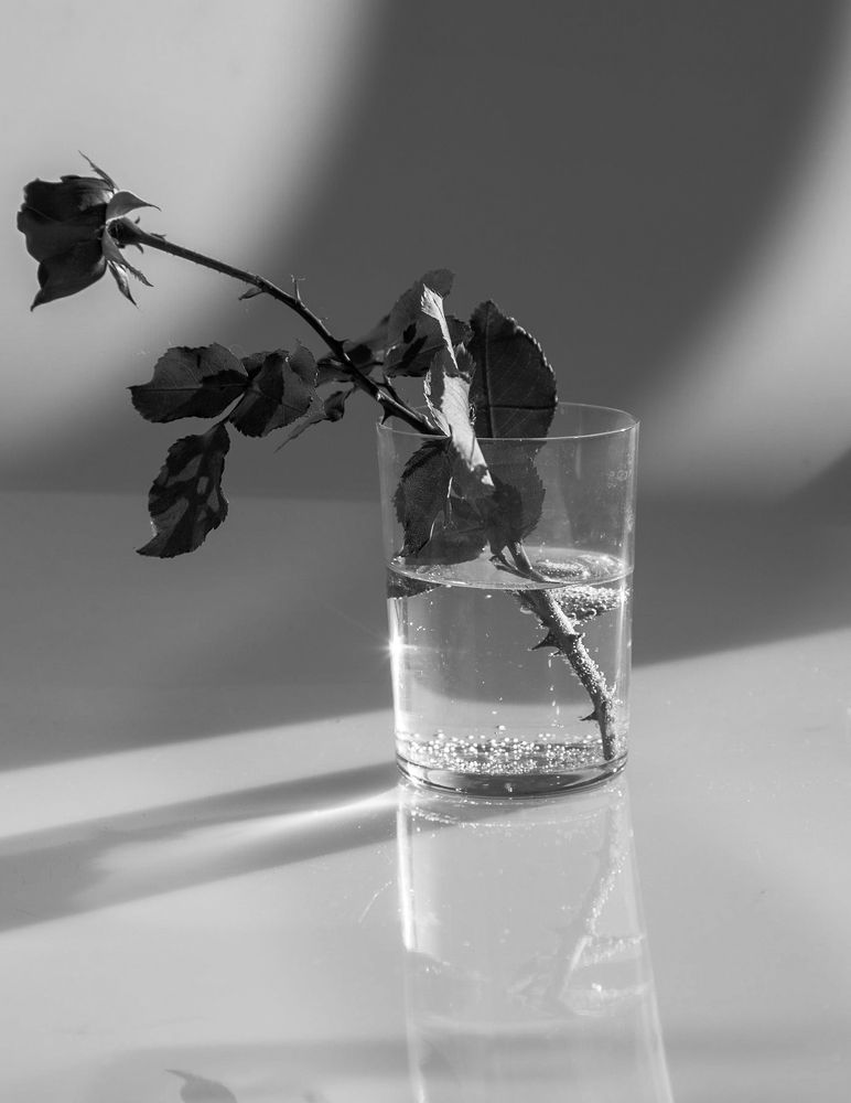 Photograph by Julia Celminska