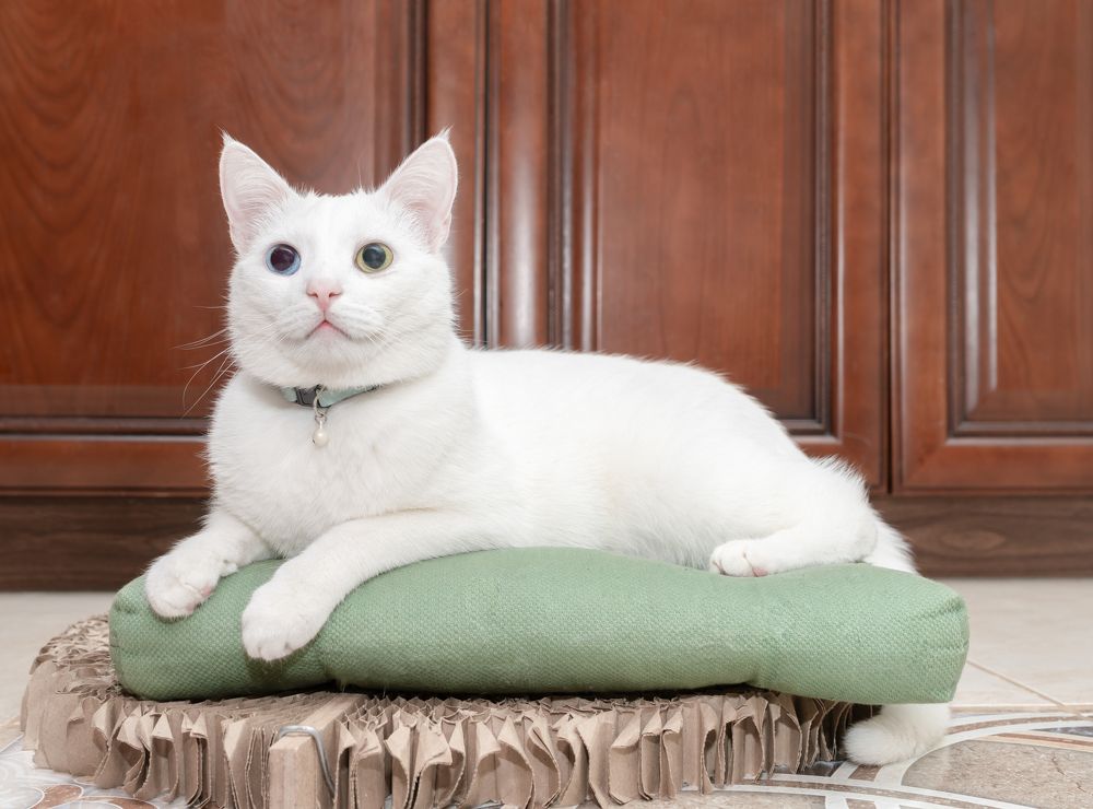 Photograph by Мария Паина