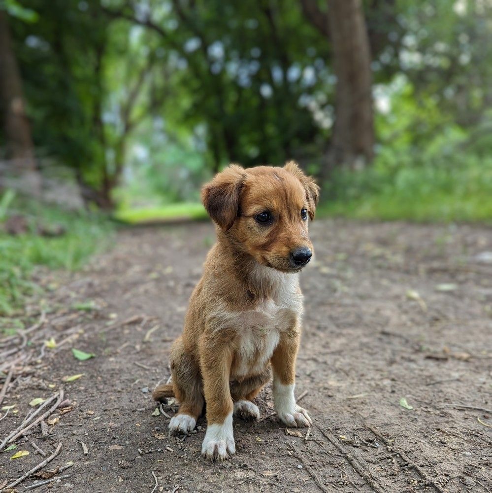 Photograph by Орынбек Асилбаев