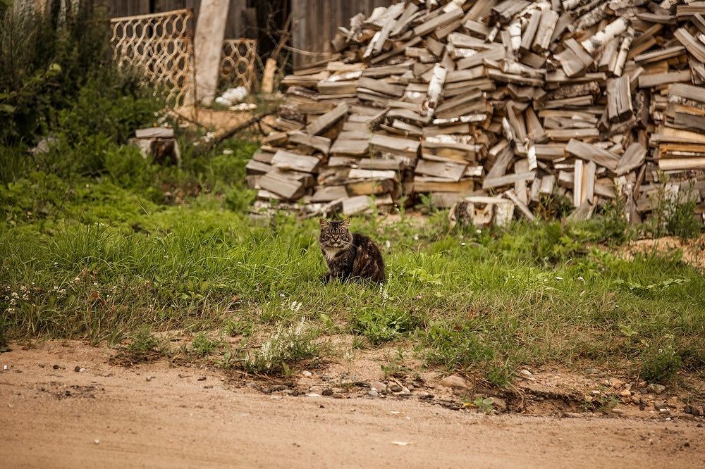 Photograph by Напалкин Станислав