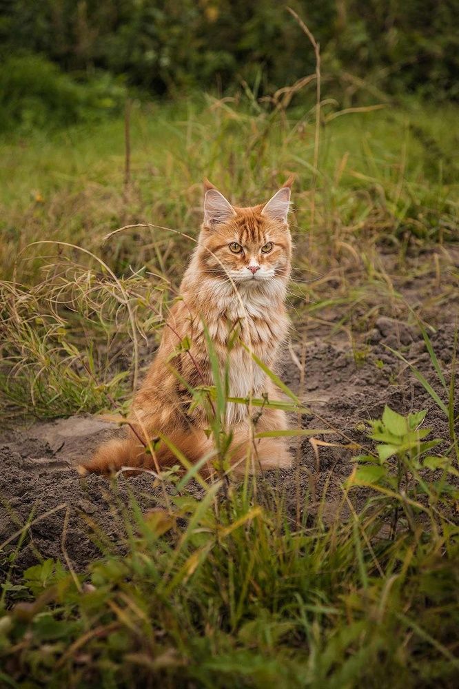 Photograph by Напалкин Станислав