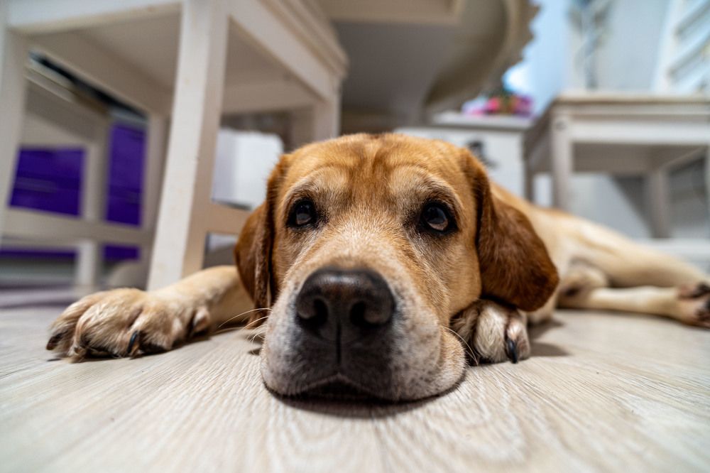 Photograph by Александр Березовский