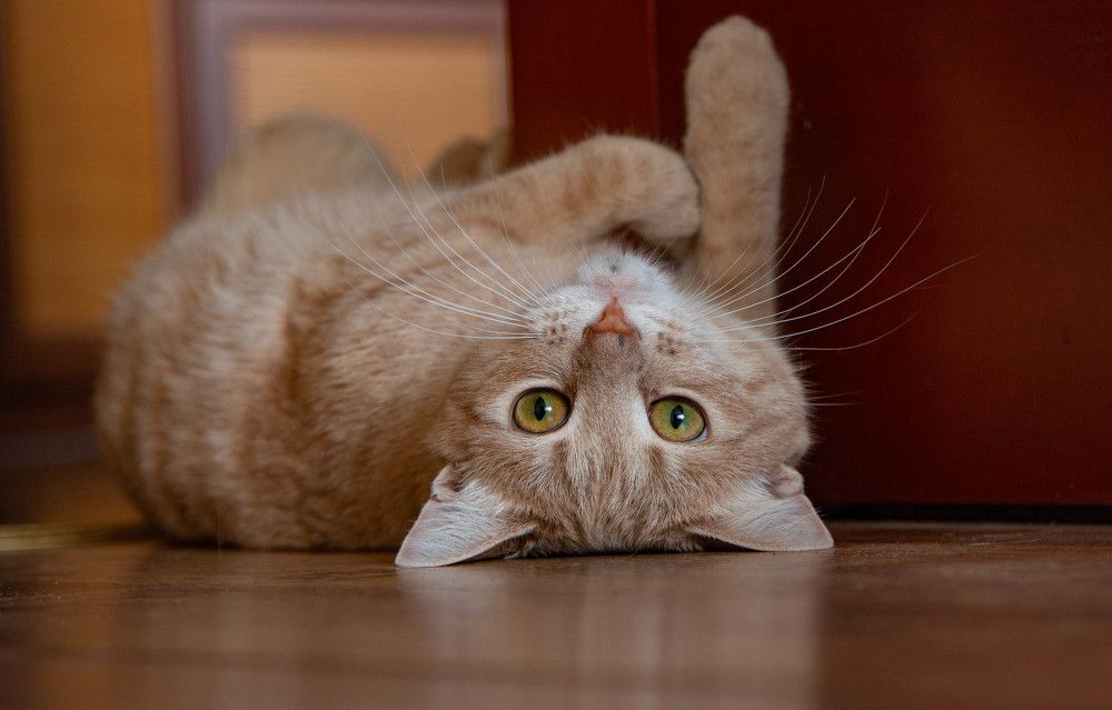 Photograph by Татьяна Панчешная