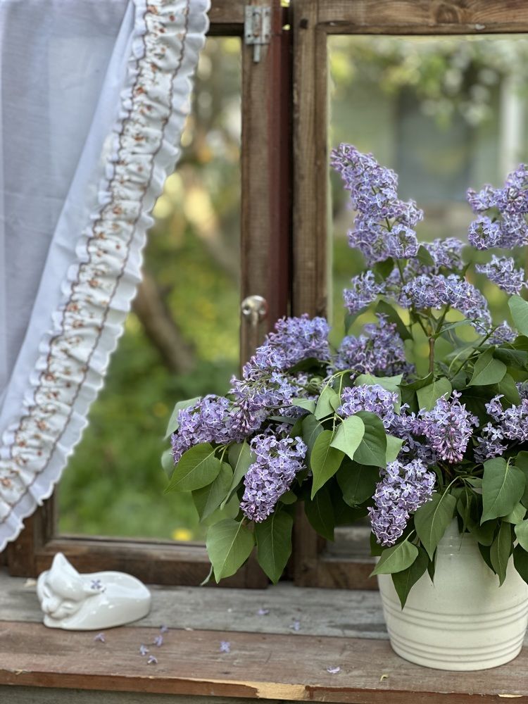Photograph by Елена Безперстова
