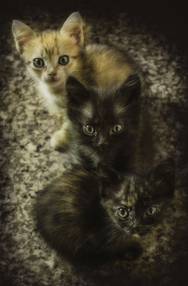 Photograph by Роман Пацкевич