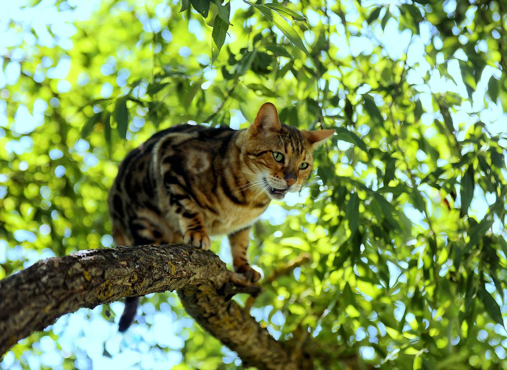 Photograph by Андрей Автухов