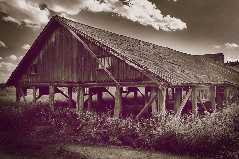 Photograph by Диана Токаревич