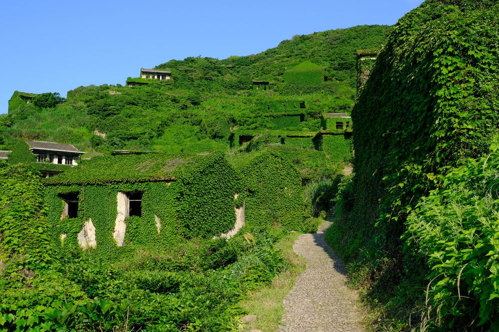 Фотография автора Александр Высоцкий