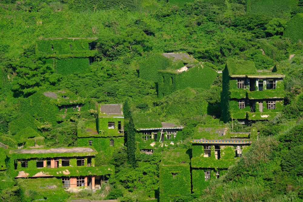 Фотография автора Александр Высоцкий