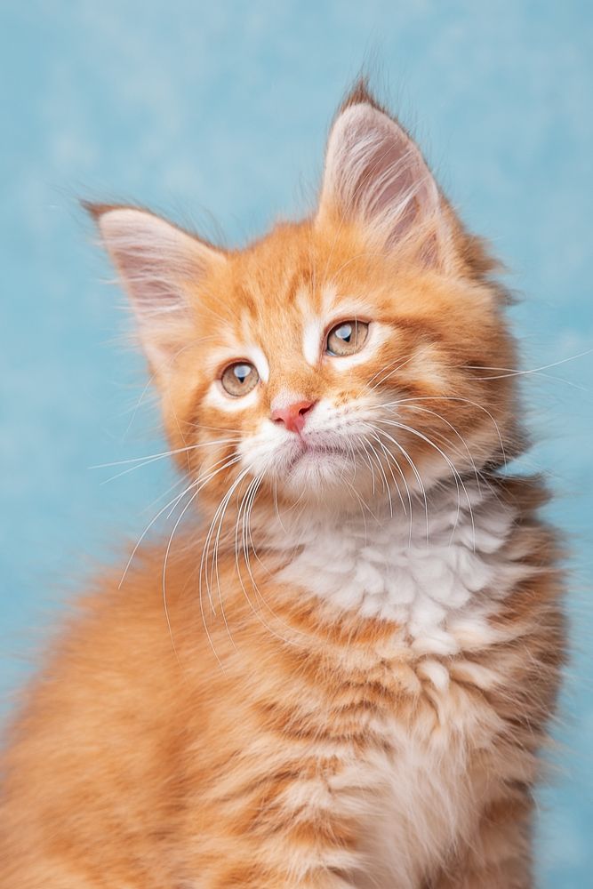 Photograph by Martina Spoljarić Pracaic