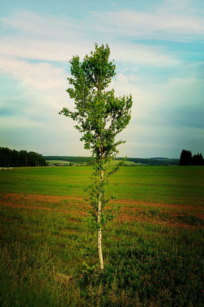 Photograph by Диана Токаревич