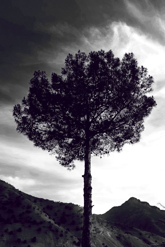 Photograph by Диана Токаревич