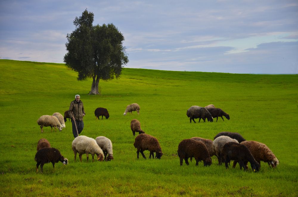 Photograph by Gülbeyaz Gencer