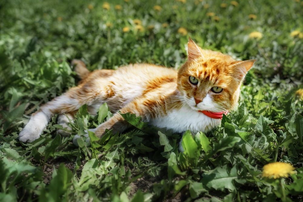 Photograph by Анастасия