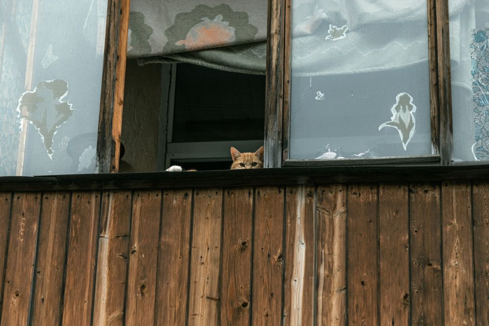 Photograph by Никита Павлов