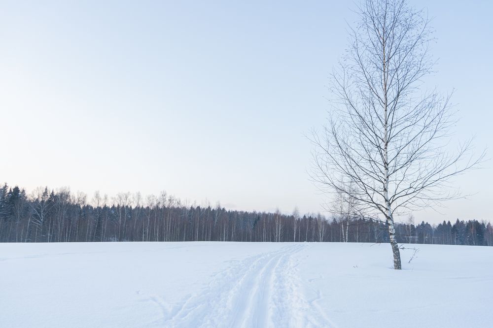 Photograph by Мария Паина