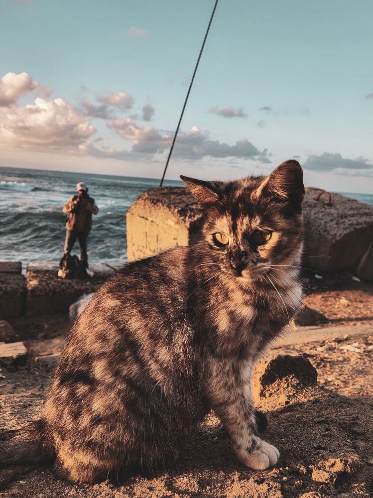 Photograph by Ahmed Ehab Akl