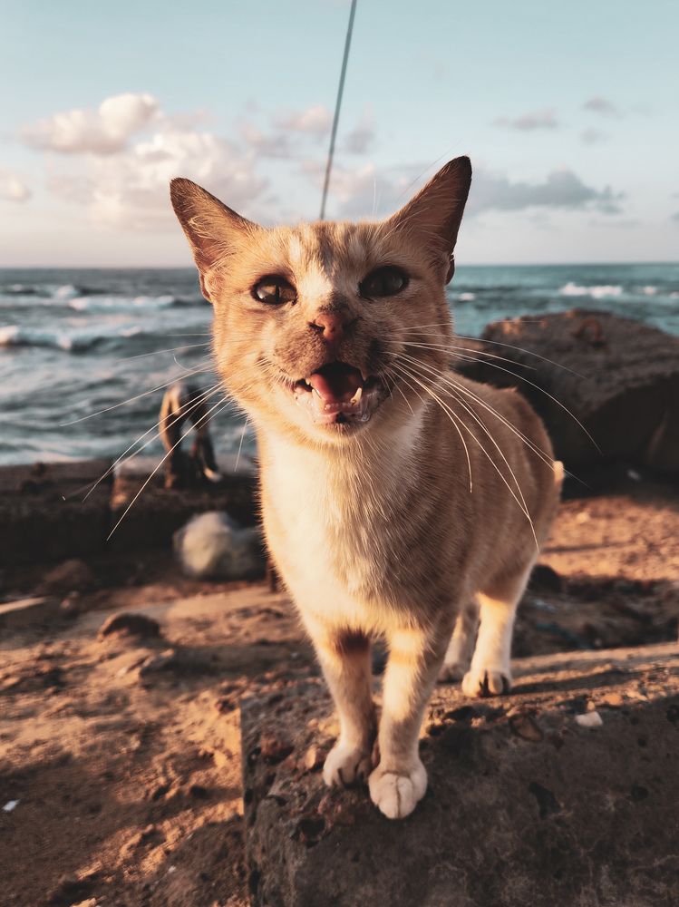 Photograph by Ahmed Ehab Akl