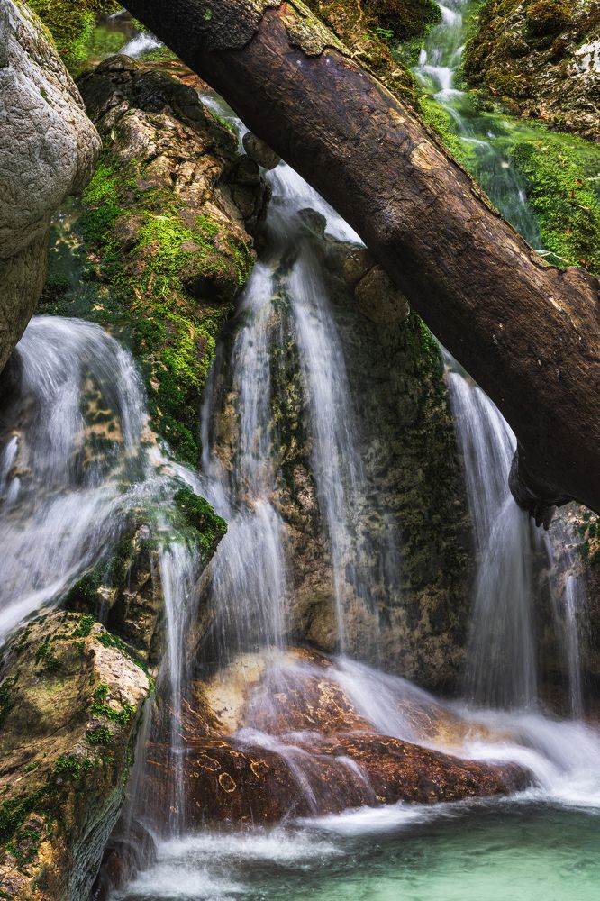 Little Waterfalls and a fallen Tree