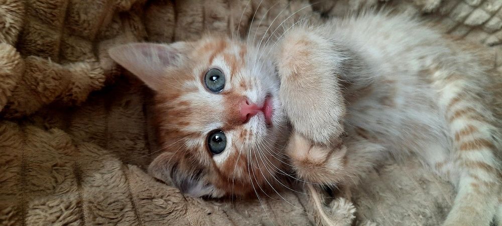 Photograph by Любовь Кочуганова