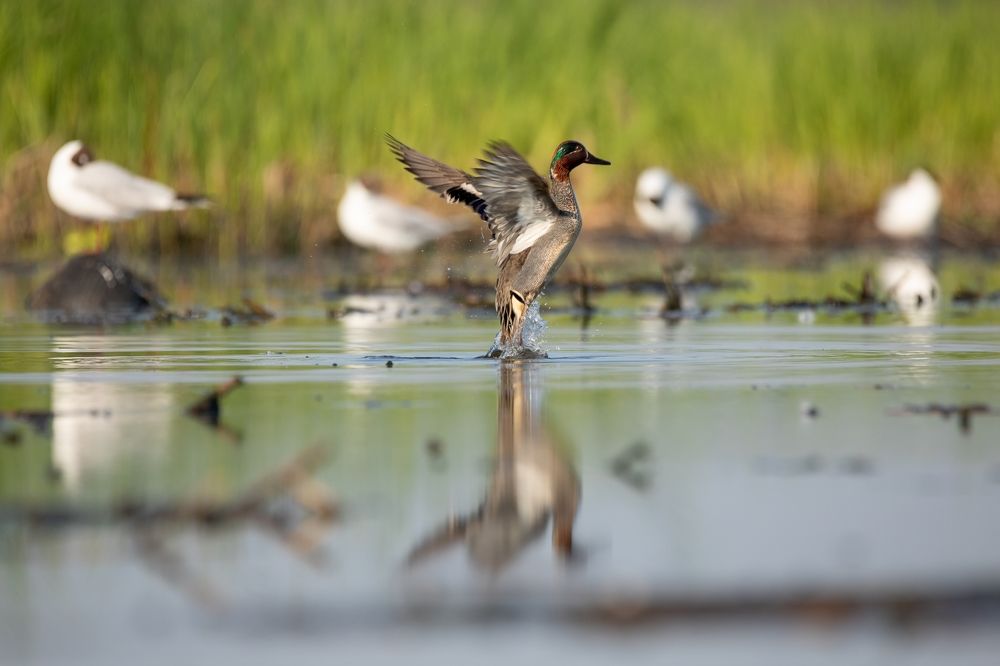 Photograph by Александр Белов