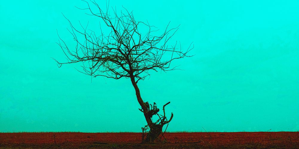 Photograph by Георгий Манаков