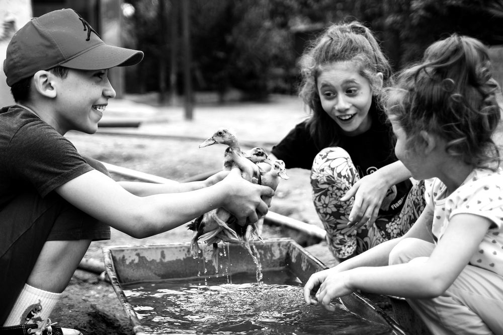 Фотография автора Emil Shahinoglu