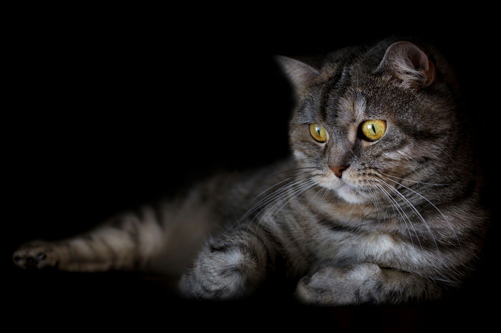 Photograph by Евгения Костусева