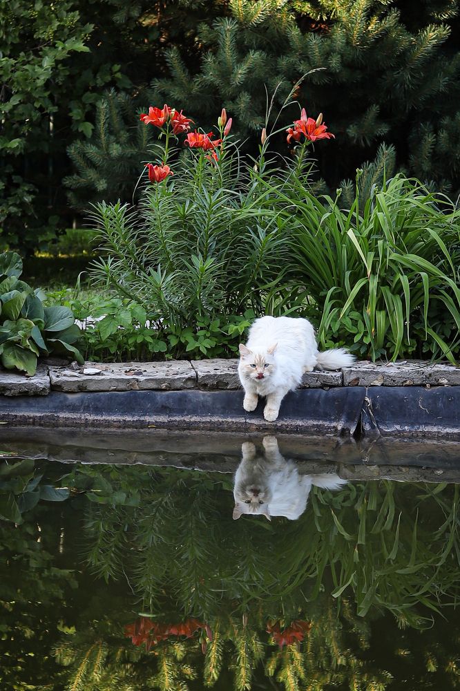 Photograph by Елена Лотник