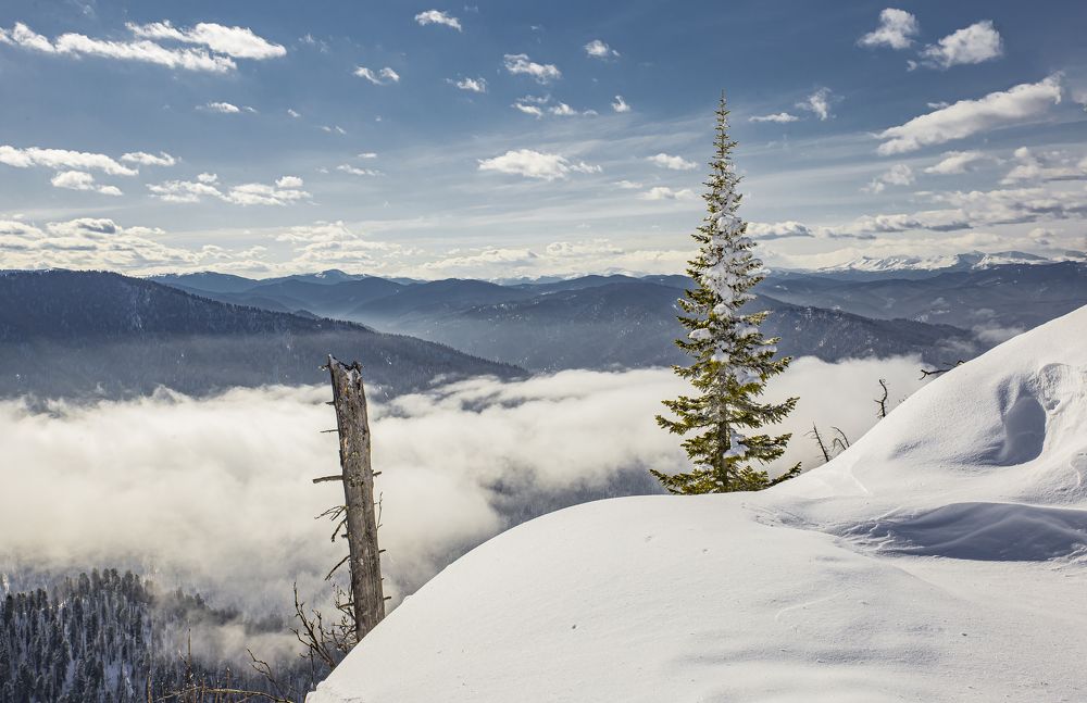 Photograph by Елена Павлова