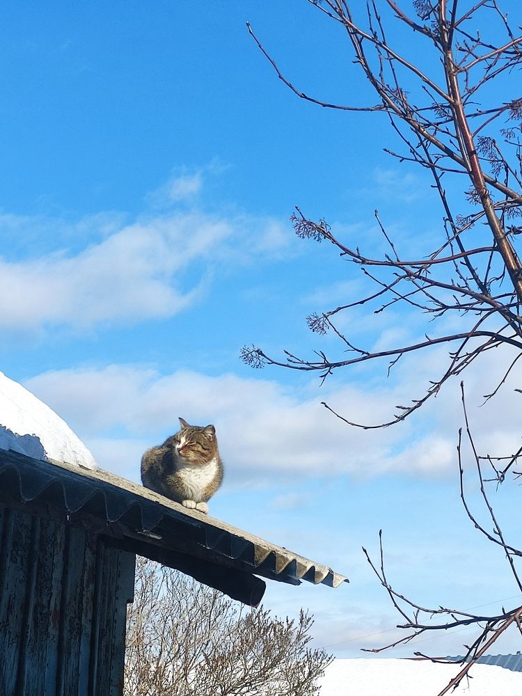 Photograph by Микка