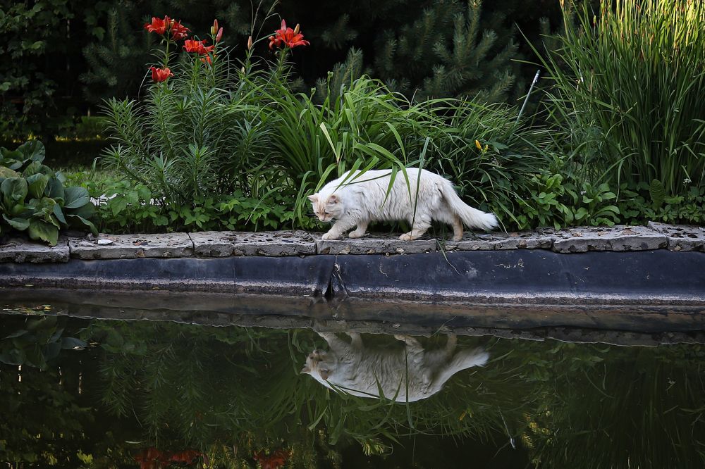 Photograph by Елена Лотник