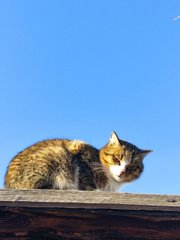 Photograph by Микка