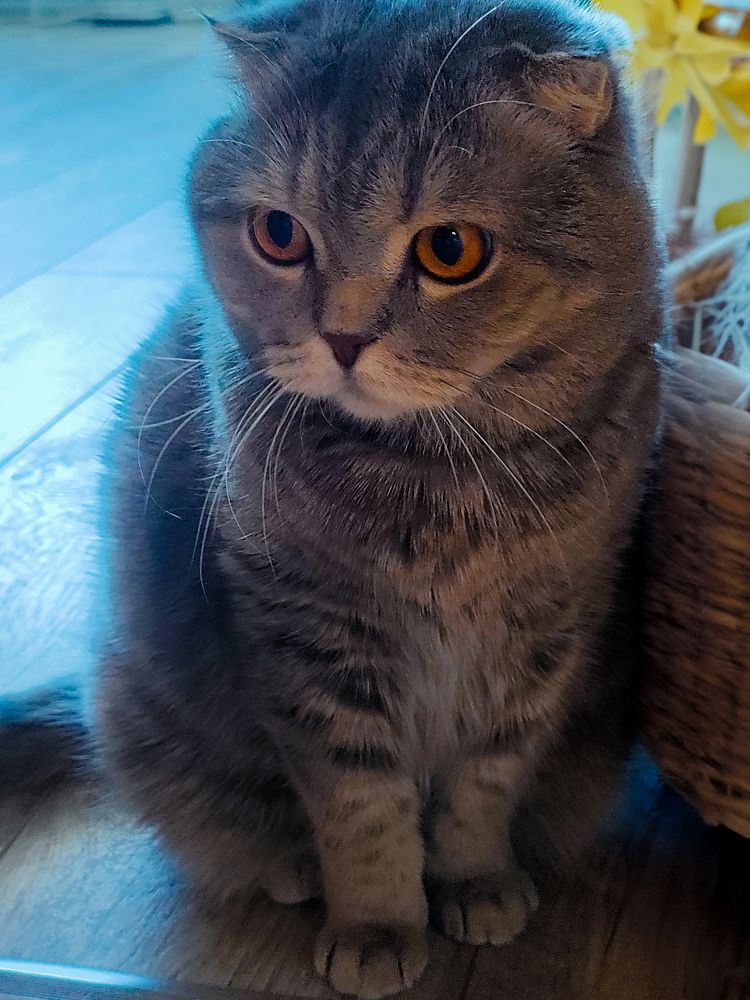 Photograph by Елена Шишкина