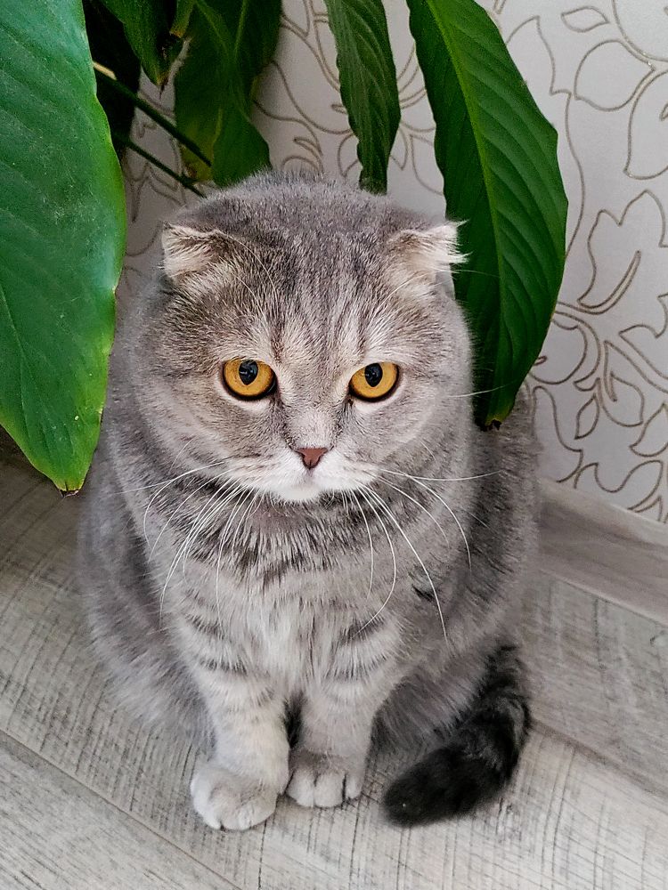 Photograph by Елена Шишкина