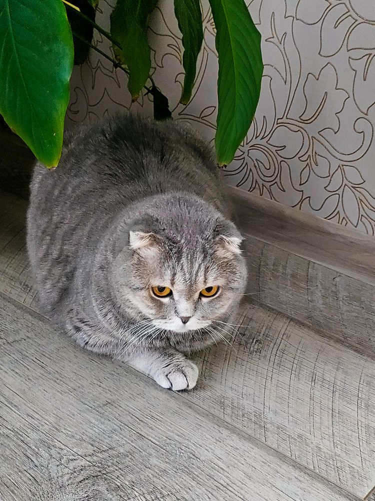 Photograph by Елена Шишкина