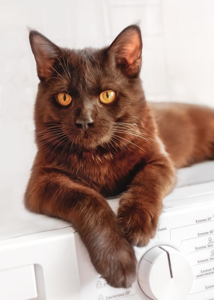 Photograph by Romanova Tatyana