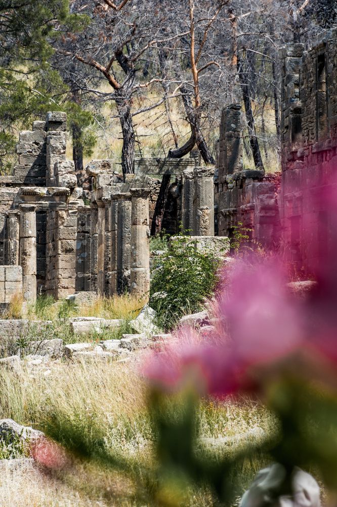 Photograph by Юлия Подлеснова