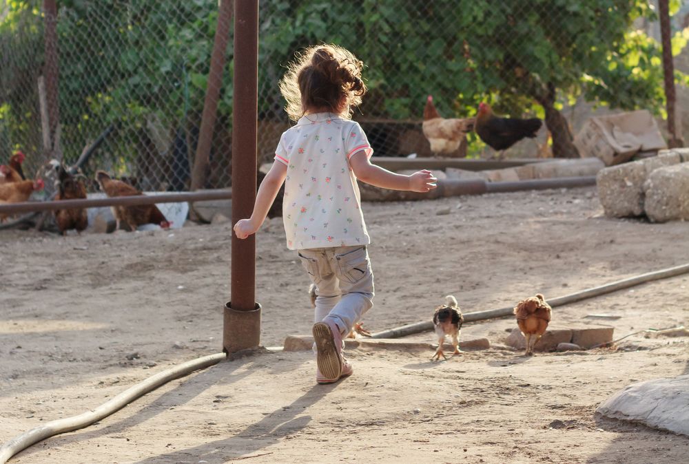 Фотография автора Emil Shahinoglu