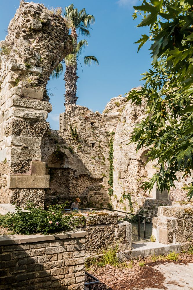 Photograph by Юлия Подлеснова