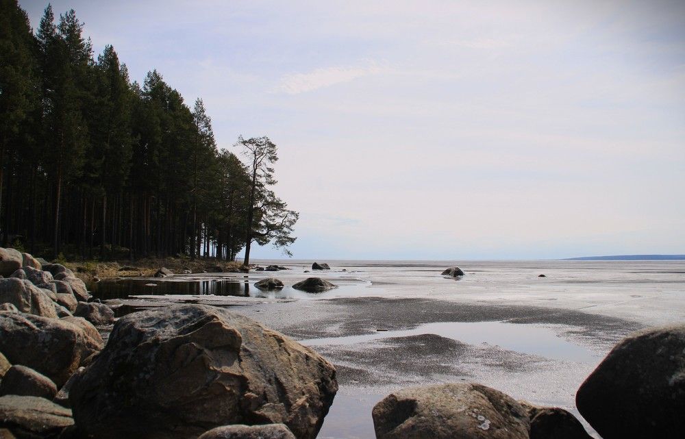 Фотография автора Светлана Терехова