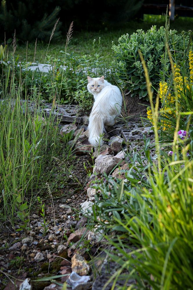 Photograph by Елена Лотник