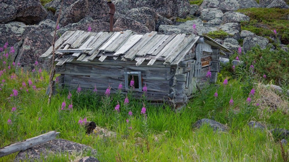 Фотография автора Александр Довганюк
