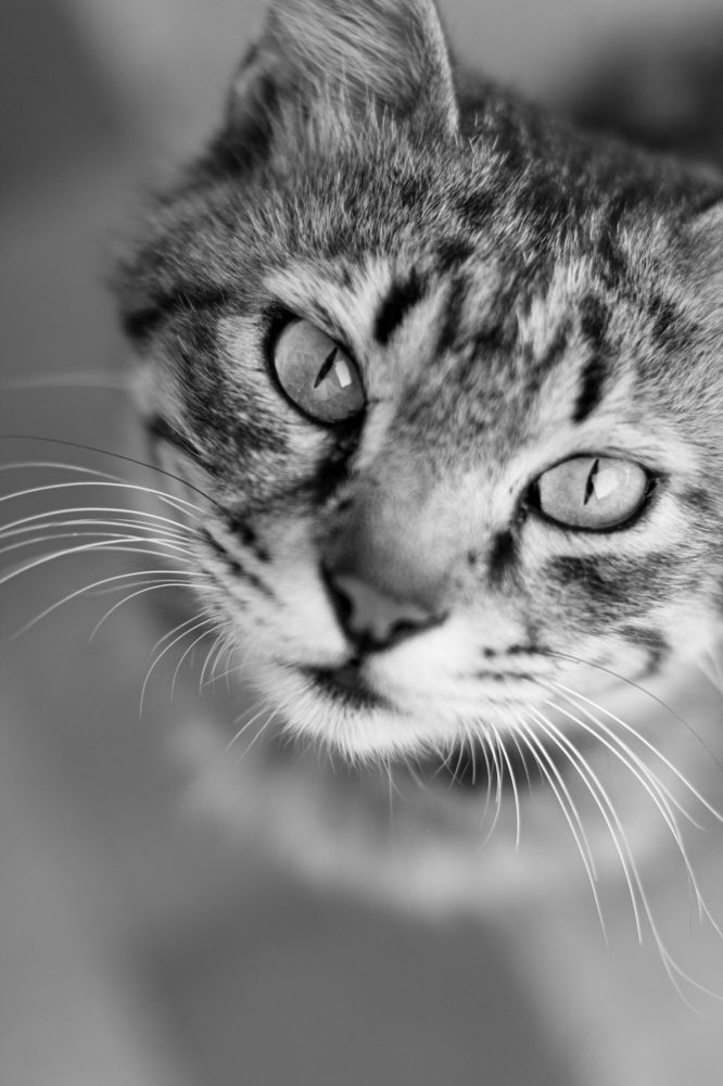 Photograph by Anastasiya Danilova